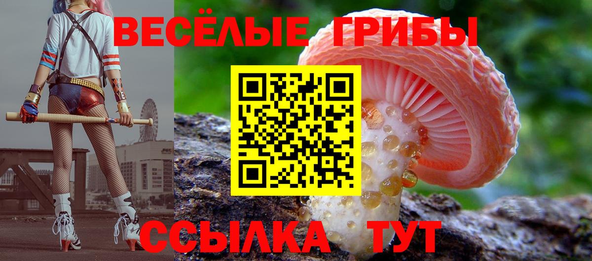 Елец  Галлюциногенные грибы Magic Shrooms  Вход с VPN 